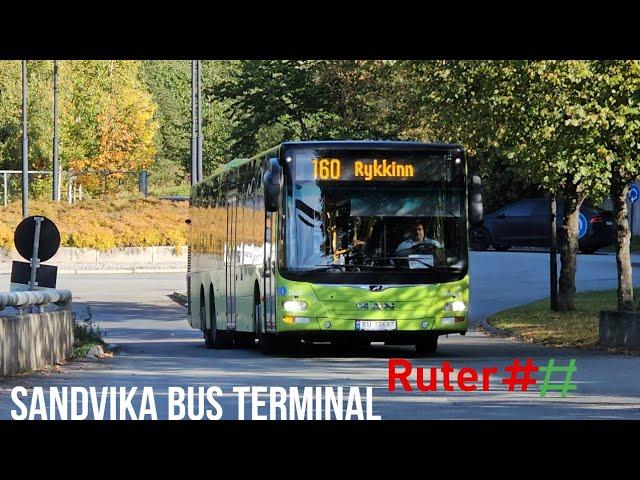 Bus Action at Sandvika Bus Terminal 