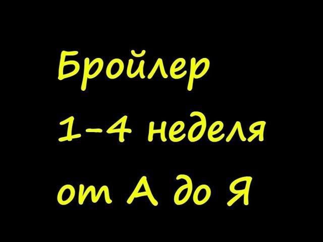 Выращивание бройлеров.Бройлеры С первого дня и до забоя. 1-4 неделя