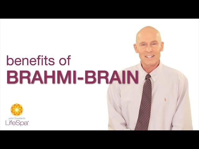 Benefits of Brahmi-Brain | John Douillard's LifeSpa