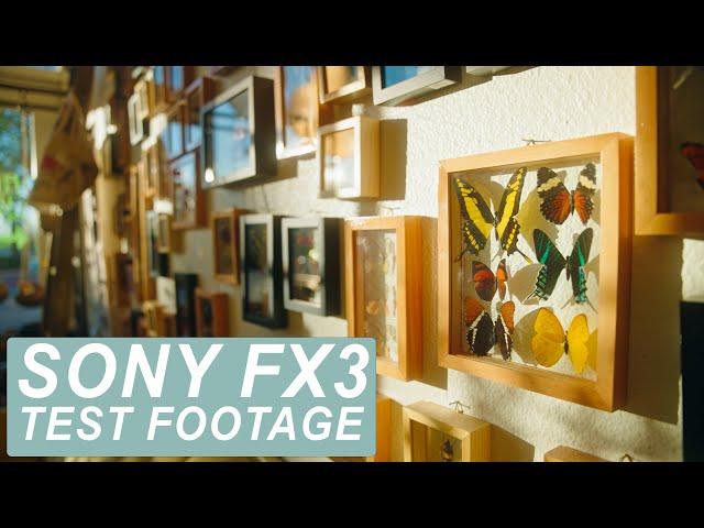 Sony FX3 Test Footage | Sigma 24-70mm F2.8 | Graded with Phantom LUTs