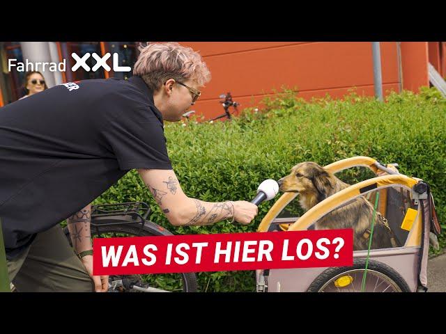 Fahrrad XXL Kalker Testival - ein Blick hinter die Kulissen