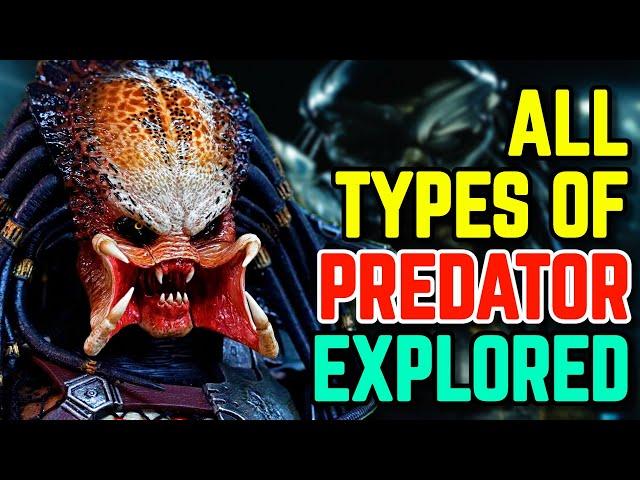 All (38) Types Of Yautjas (Predators) - Backstories/Species Explored