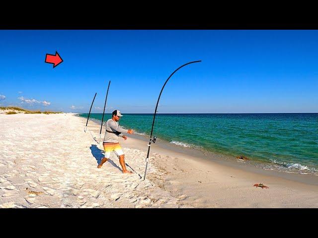 The Fall Surf Fishing is About to Get CRAZY! (The Secret Bait You NEED!)