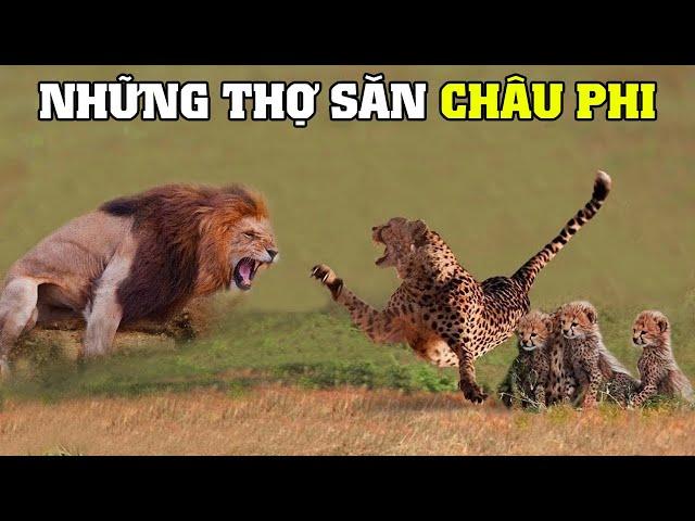 Động Vật Săn Mồi Châu Phi | Khám Phá Thế Giới Động Vật Hoang Dã