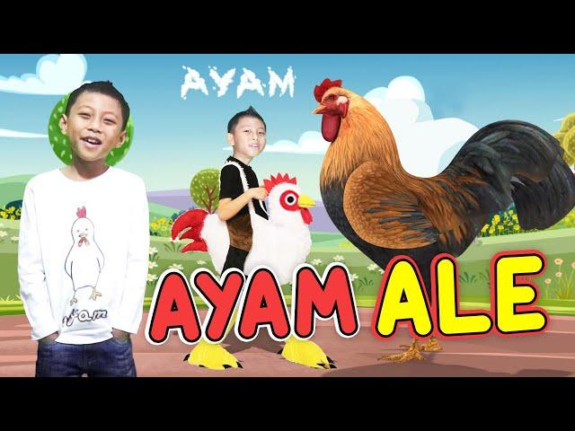 LAGU AYAM - ALE I LAGU ANAK INDONESIA