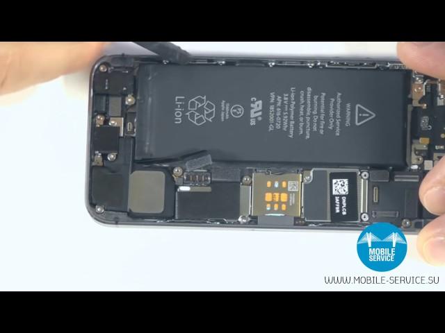 Замена аккумулятора iPhone 5s. Инструкция по замене батареи iPhone 5s.