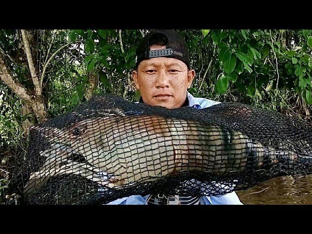 THE REEL SCREAMS.!! LARGE GALP SHRIMP NESTING UNDER THE BOAT.!! GALAH SHRIMP FISHING