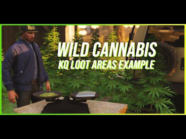 FiveM Script | Wild Cannabis [ESX + QB] [FREE] | KuzQuality