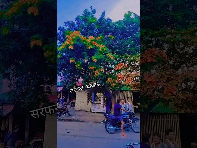 Bina mausam ke badra #sahani vlog