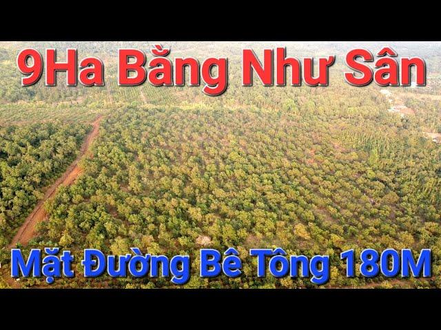 [73] Bán đất đắk nông - Bán sỉ và lẻ lô đất rẫy trồng kín điều siêu bằng đẹp