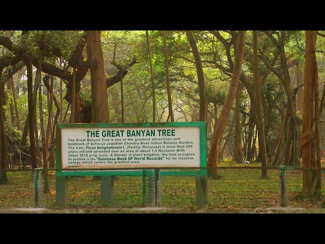 Acharya Jagadish Chandra Bose Indian Botanic Garden, Howrah