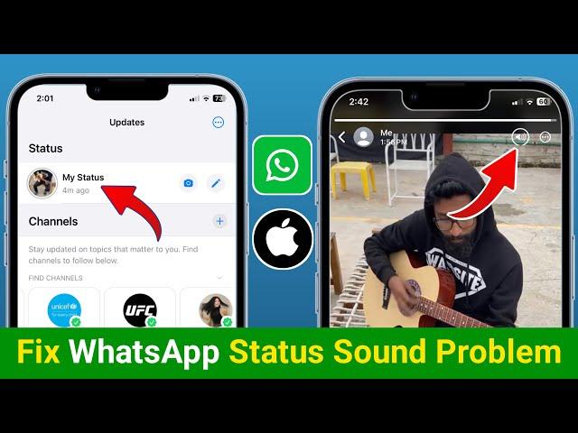 How to Fix WhatsApp Status Sound Problem On iPhone 2024 | iPhone WhatsApp Status Sound Problem Solve