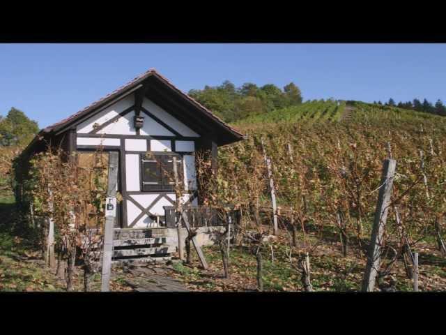 Landkreis Weinlied  "Frankenwein aus dem Neustädter Land"