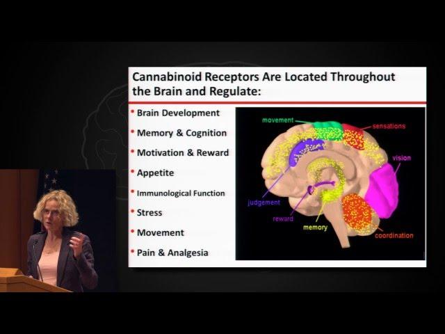 Neuroscience and Society: The Science and Policy of Marijuana