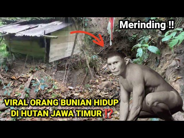 VIRAL ORANG BUNIAN HIDUP DI HUTAN JAWA TIMUR ⁉️