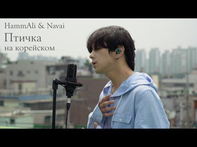 HammAli & Navai - Птичка на корейском Cover by Song wonsub(송원섭)