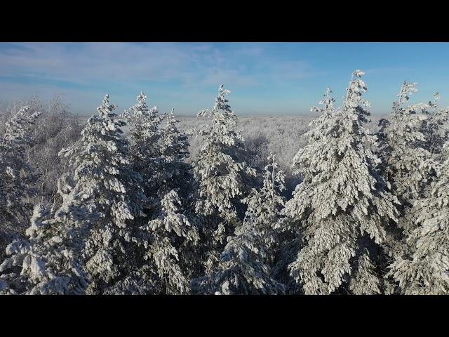 Новогодние праздники. Самара 2021