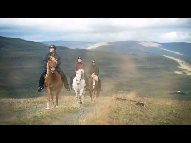 Island Dokumentation – Ein Tag auf dem Pferdehof Lýtingsstaðir