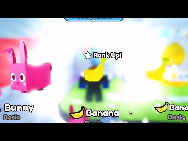 OMG HATCHING A BANANA IN PET SIMULATOR X!