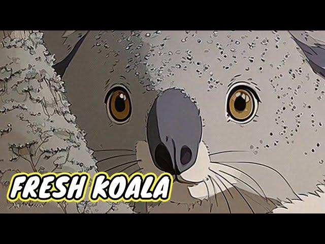 Subscribe to Fresh Koala Sounds!