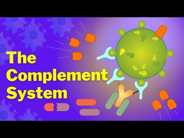 The Complement System is SO EASY! Stop Making it Hard!