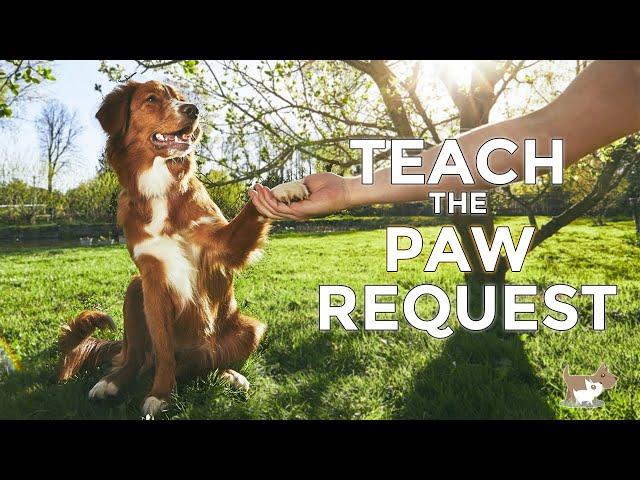 Teach your dog 'PAW'