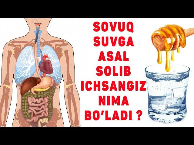 Sovuq Suvga Asal Aralashtirib Ichsangiz Nima Bo'ladi ???