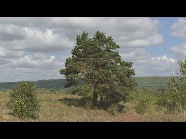 Азрапино - Бузовлево - Каргалейка - р. Верхозимка (часть 1)