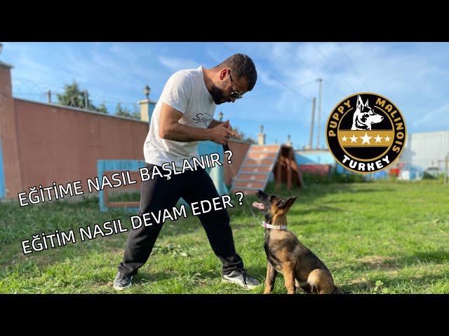 YAVRULARDA EĞİTİME NASIL BAŞLANIR? NASIL ÇALIŞILIR?