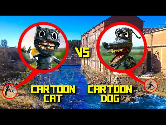 DRONE CATCHES CARTOON DOG attacking CARTOON CAT ! **CARTOON DOG exists**