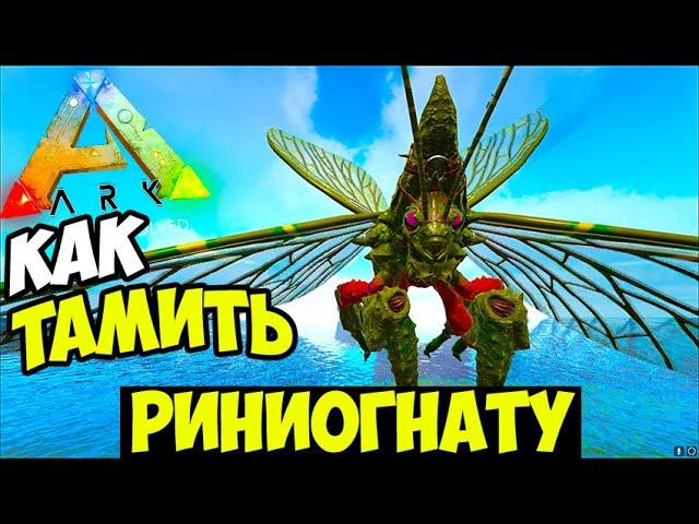 КАК ПРИРУЧИТЬ РИНИОГНАТУ В ARK! Обзор ТАМЛЕНИЯ! Летающая ГИГА Rhyniognatha в АРК?