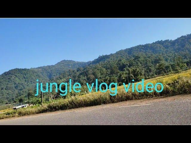 jungle vlog video#Bimu Entertainment#jungle Vlog