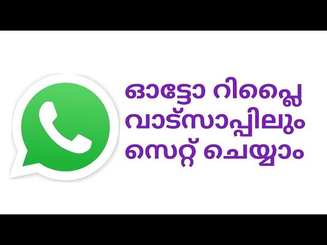 How to set auto reply message for WhatsApp