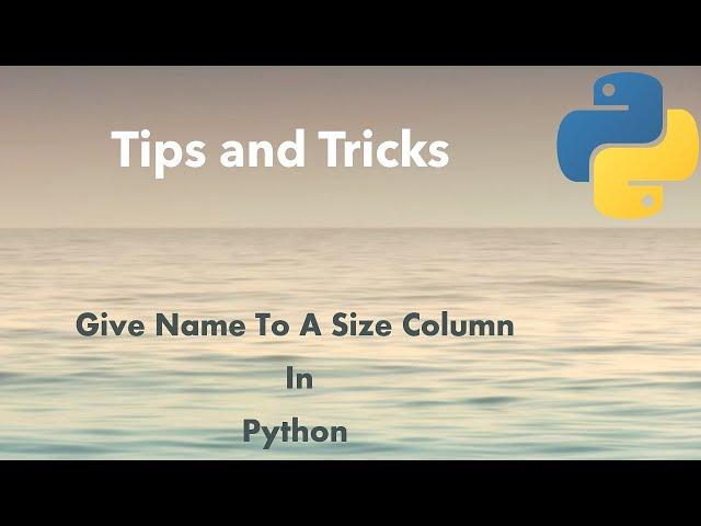 Python Tip: How to Label Size Column In Python