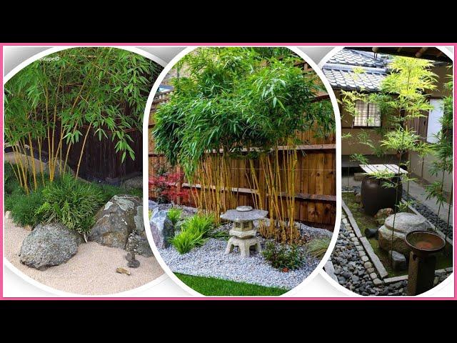 Amazing Bamboo Landscaping Ideas/Cam Garden