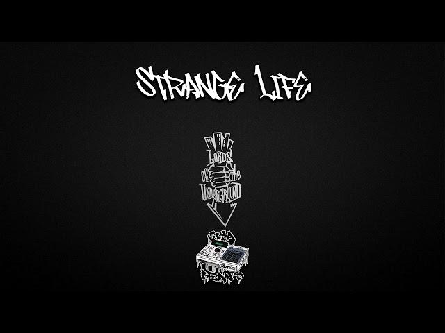 "STRANGE LIFE" 90s Old School Hip Hop Boom Bap Sad Type Beat | Emotional Rap Instrumental | 2024