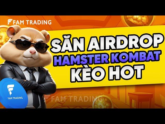 Hướng dẫn cày Airdrop Hamster Kombat Free - kèo Notcoin thứ 2 (2024)