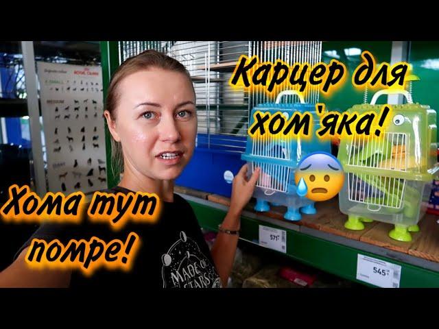 Що потрібно для хом'яка? Скільки це коштує, де купити?