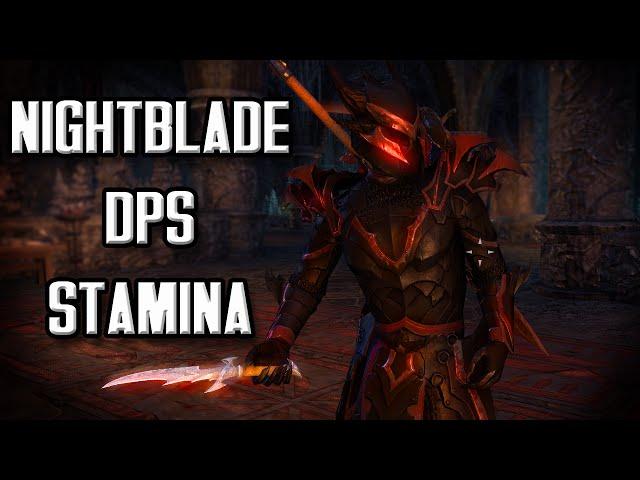The Brutal Smorgasbord Assassin - PVE Stamina Nightblade DPS Build (Elder Scrolls Online DPS Build)
