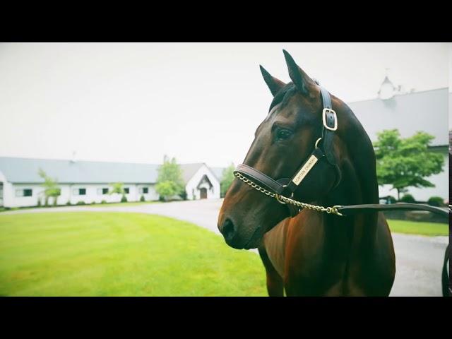 Diamond Creek Farm