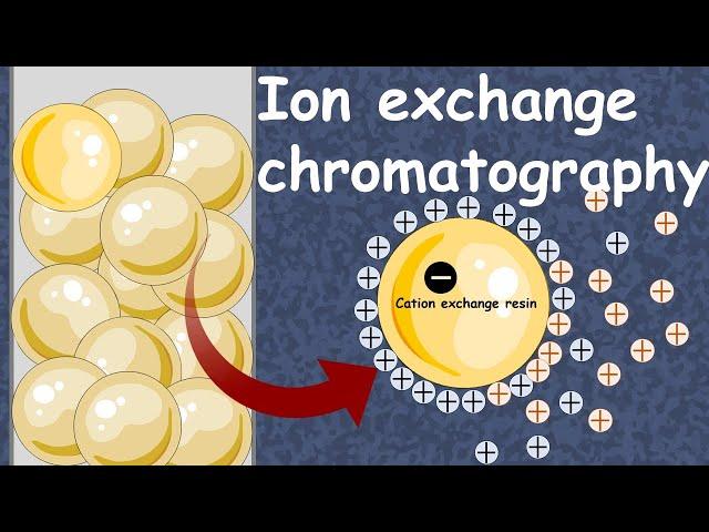 Ion Exchange Chromatography | Cation exchange chromatography | anion exchange chromatography