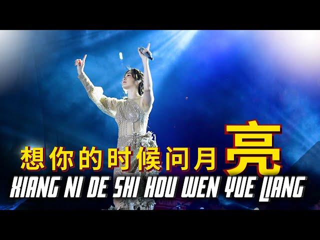 Xiang Ni De Shi Hou Wen Yue Liang - 想你的时候问月亮 || Desy Huang 黄家美