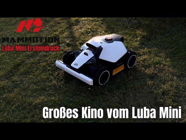 Erster Eindruck ? Großes Kino vom Luba Mini ! || Luba Mini Ersteindruck