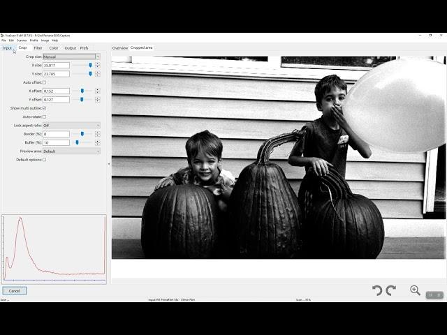 Basic VueScan to Capture One workflow for BW scanning