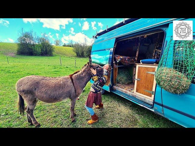 Lotta travels through Europe with her donkey Jonny in a van