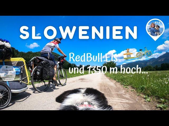 Bike Touring with my Dog (#16) - Bled to Skofja Loka, Slovenia (Slovenian Touring Cycle Route)