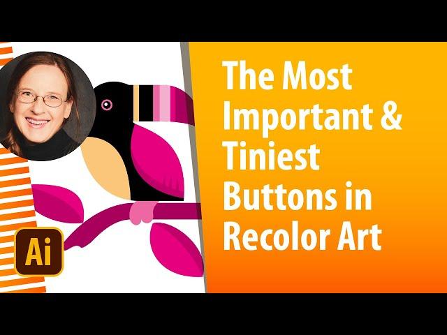 How to Use the Most Important Options in Illustrator's Recolor Artwork