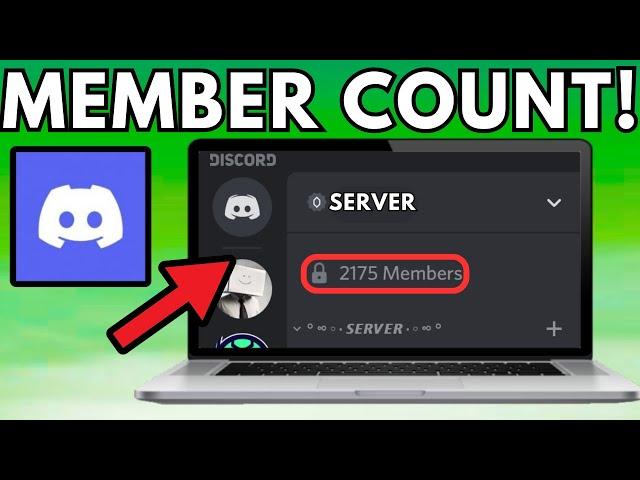 How To Setup Member Count Bot On Discord 2024