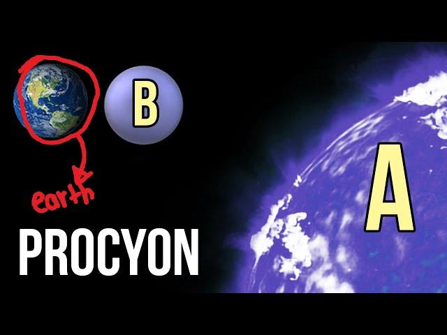 Procyon! THE LESSER DOG. Everything about this Binary star system