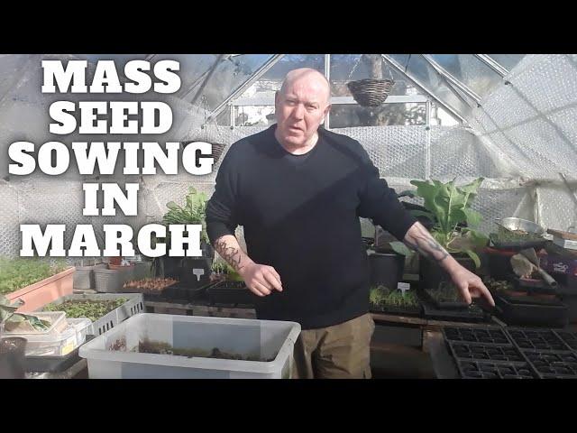 Mass Seed Sowing In March [Gardening Allotment UK] [Grow Vegetables At Home ]